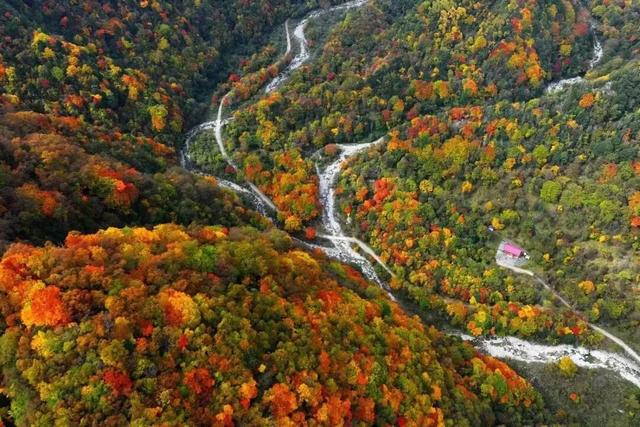 金戈铁马古青溪 熊猫彩林唐家河丨唐家河红叶季系列活动精彩来袭……