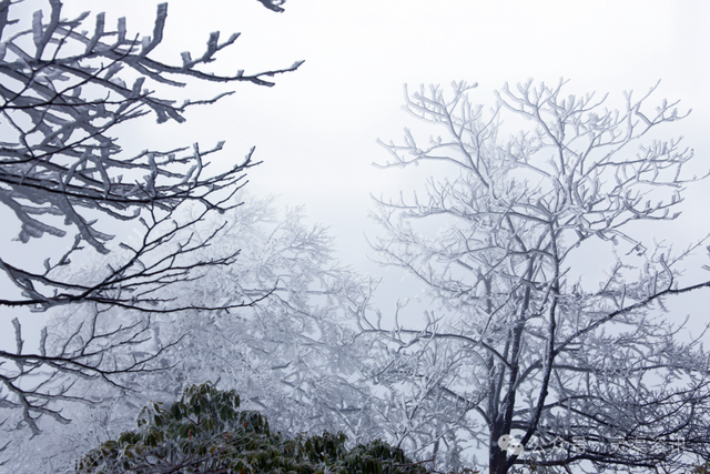 兴安限定版“冰雪奇缘”惊艳上线→