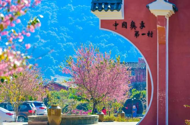 四川省仁和区历史沿革及行政区划