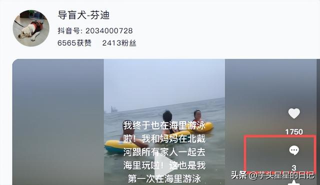 带导盲犬爬山后续：女主渴望被理解，坦言自己没错，澄清不是夫妻