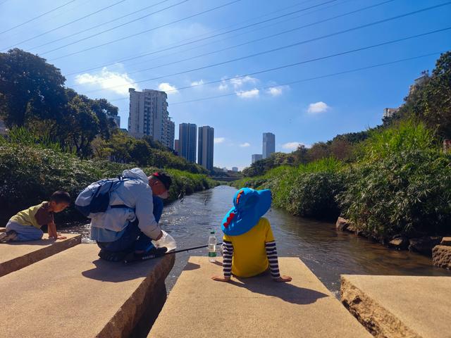 从学苑大道入大沙河绿过大学城后进深圳弯公园流花山景点【高清】