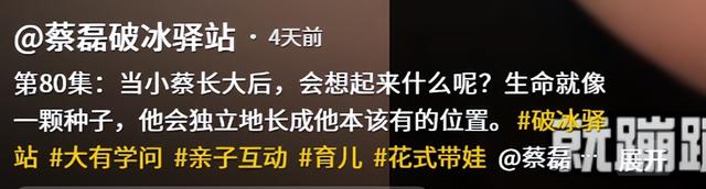 世道不公！蔡磊妻子不再隐瞒，自曝真实处境，6岁儿子成"牺牲品"