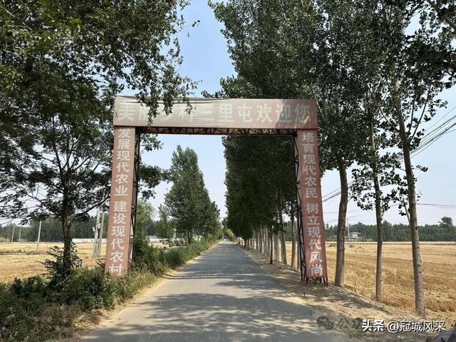 冠县乡韵·柳林镇三里屯村
