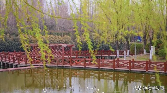 国庆节旅游黄金周足不出“柘”，邂逅秋日浪漫