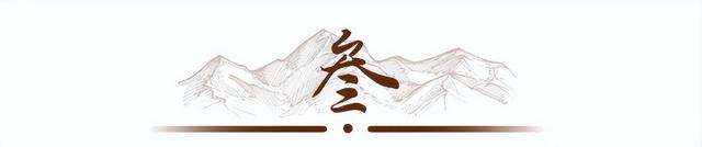 老人竟在烈士陵园看到自己的墓碑，随口问一句，政府立刻派人调查