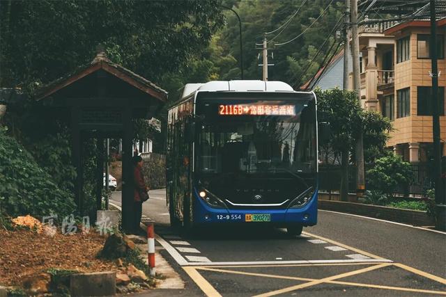 绝了！富阳这条公路，颜值爆表！是时候出动了！