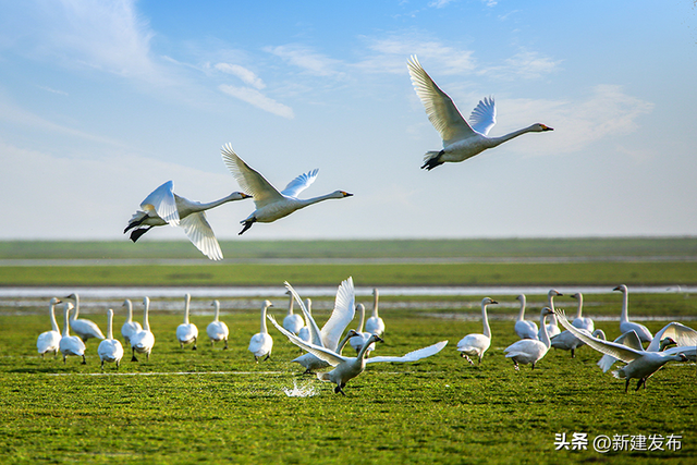鄱阳湖畔的璀璨明珠