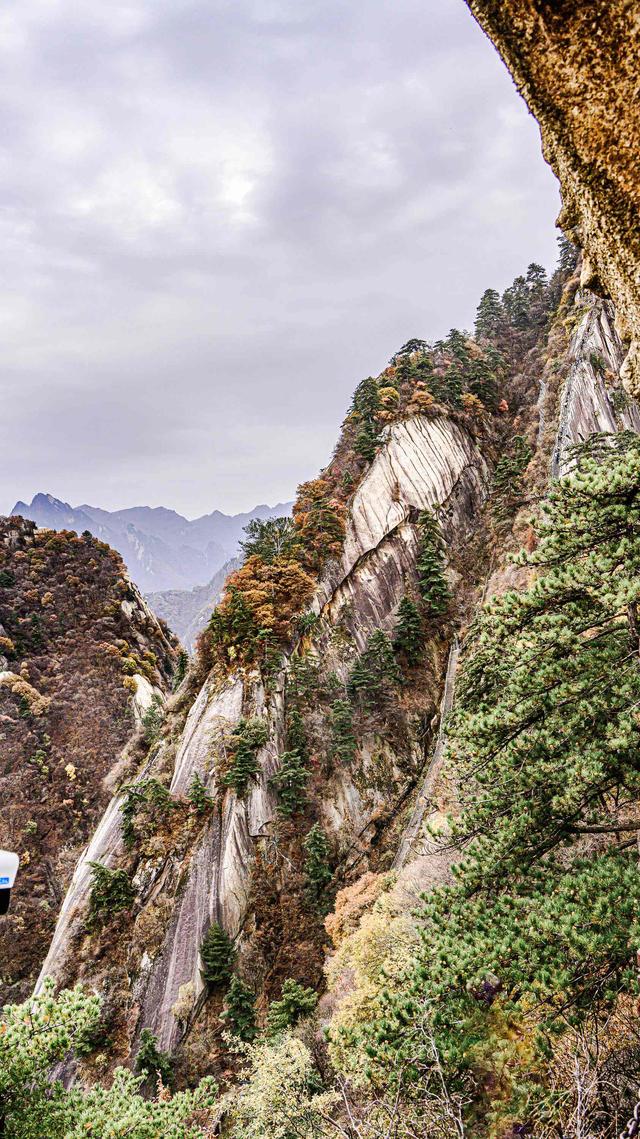 魂牵梦萦，我登上思念已久的华山.......