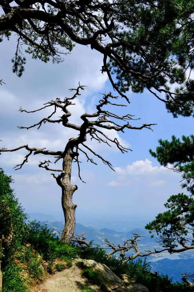 泰山之巅：风云变幻里的华夏印记