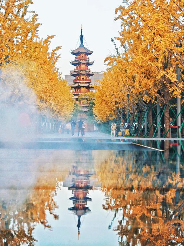 探徐汇｜全线“地铁”自助！5天游上海，徐汇玩“出圈”