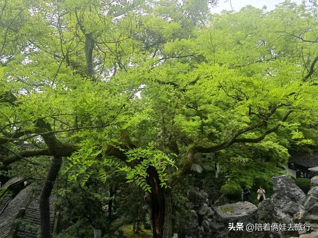 嘉兴南湖一日游,自然景观与人文景观相得益彰