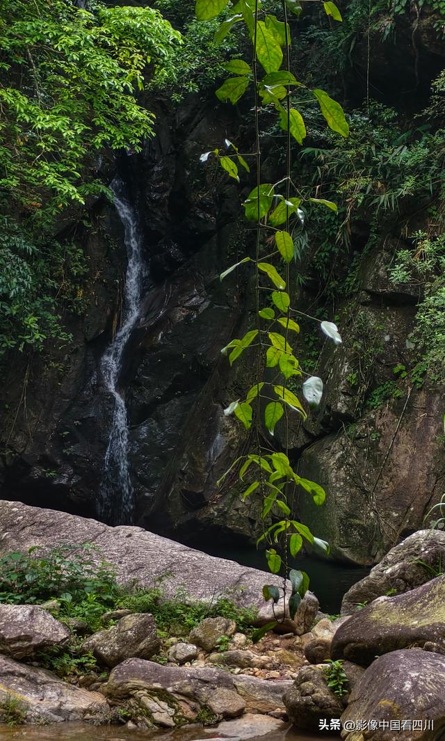广东信宜：天马山引客来