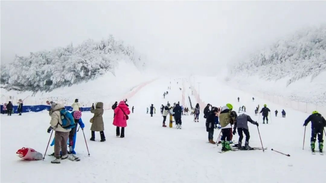 三场大戏+五大活动，宁强元旦狂欢倒计时！