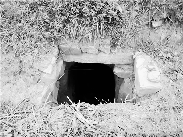 真凶拔掉满脸胡子改名，观看《刘胡兰》心存侥幸，却不知难逃法网