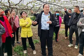 临渭区：培训进果园 实操助增产图片