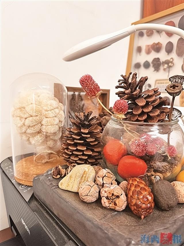 秋韵无限 鹭岛掀起“捡秋热”