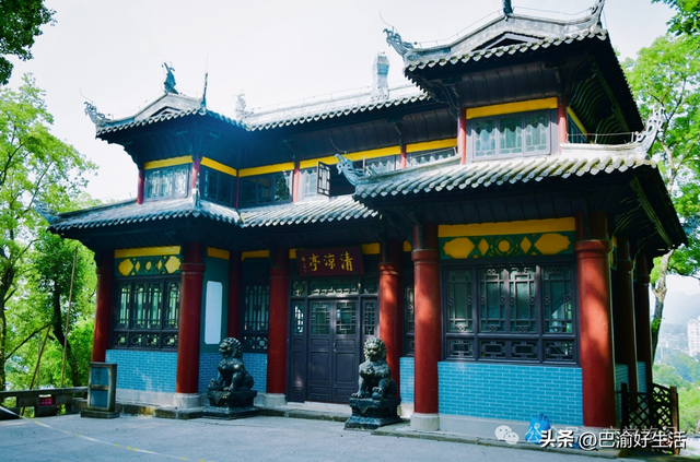 北碚公园竟是"大熊猫"命名地，原来藏着这么多秘密