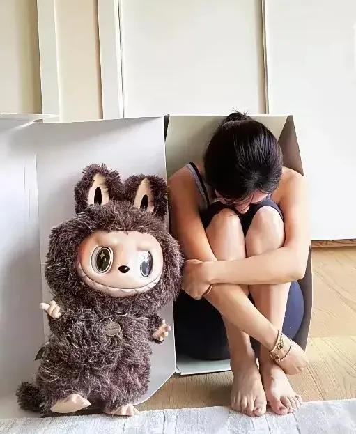 李念家Labubu大到离谱！粉丝酸了：这才是真·贵妇的玩具！