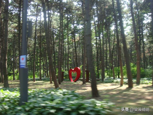 长春净月潭（上）——吉林游（10）