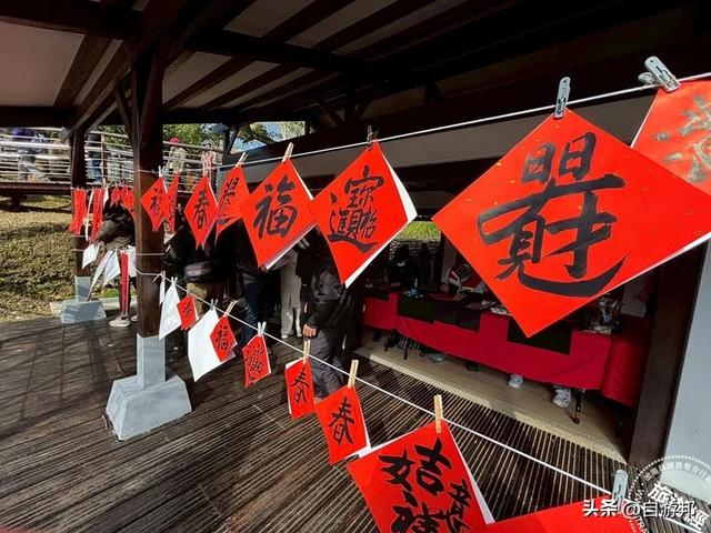 角板山行馆梅花花开5成 梅花季盛开期间，将打造沉浸式赏梅体验