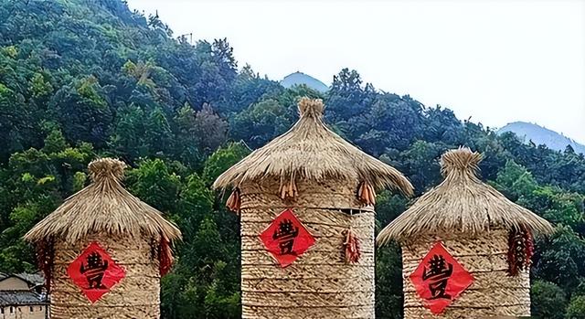 广西与贵州交界处的“菇类村”，女性衣着开放，以母系社会为主