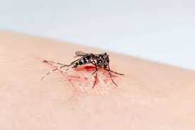 夏天快到了，但研究发现，电蚊香液有肝毒性！那还能用吗？驱蚊又该怎么办？图片