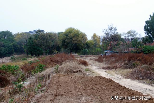 小丹河(老坝河水库西段)立冬那天的风光