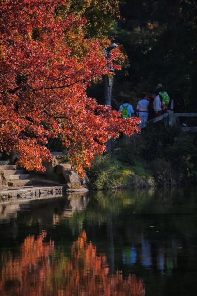 苏州天平山发请柬啦