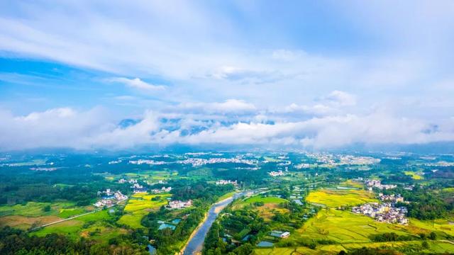 我在阳山过暑假｜夏日来阳山，在绿美生态中感受诗意清凉