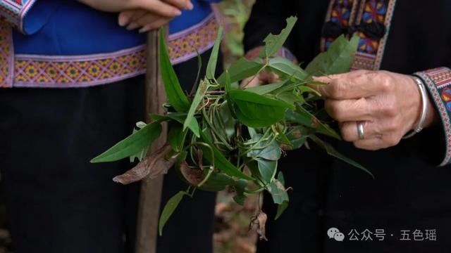 持续5天，韶关这么过节！顶流到场、跳蚤集市、汉服打卡……