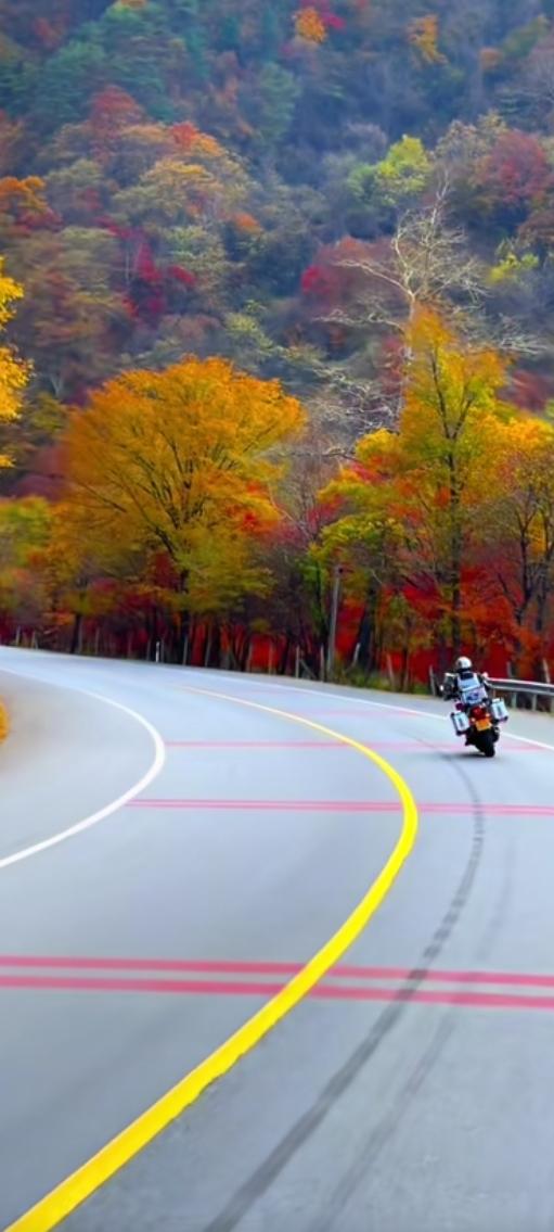 “青春逐秋，故宫梦启说走就走。”