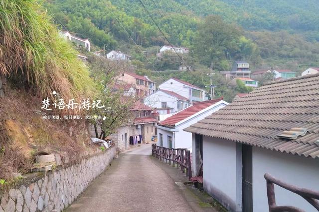 完全没想到，宁波这个以樱桃花走红的古村，秋天的风景也这么美！