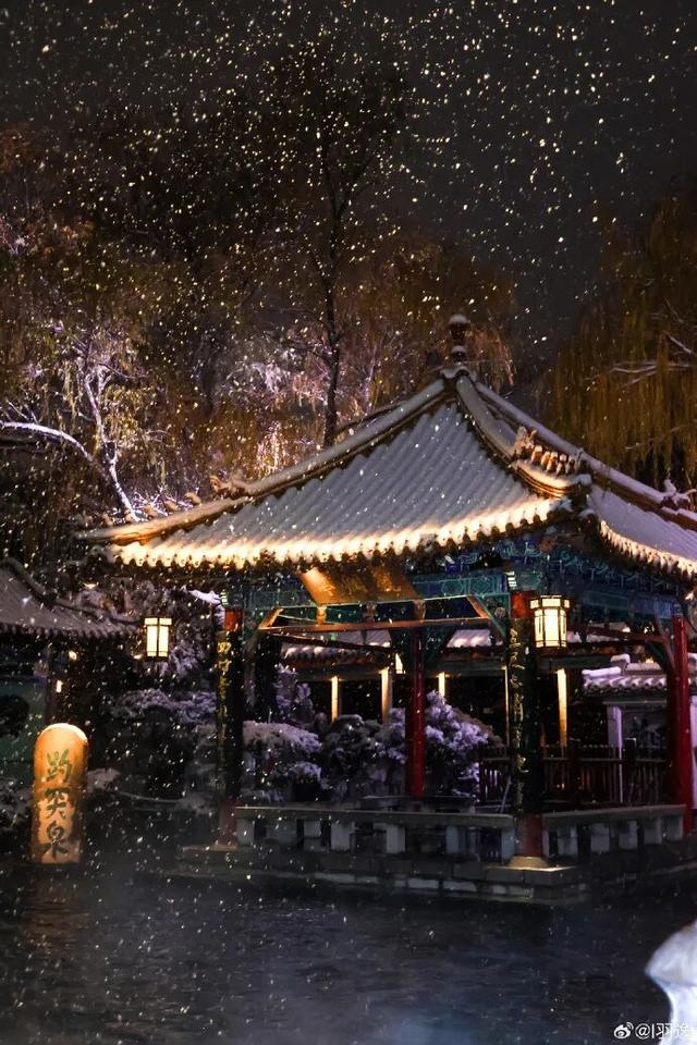 2025四季巡礼！100位寻美客邀你共绘最美泉城图鉴