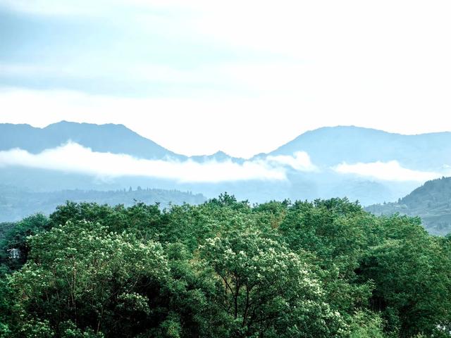 武夷山，碧水丹山间的文化长卷