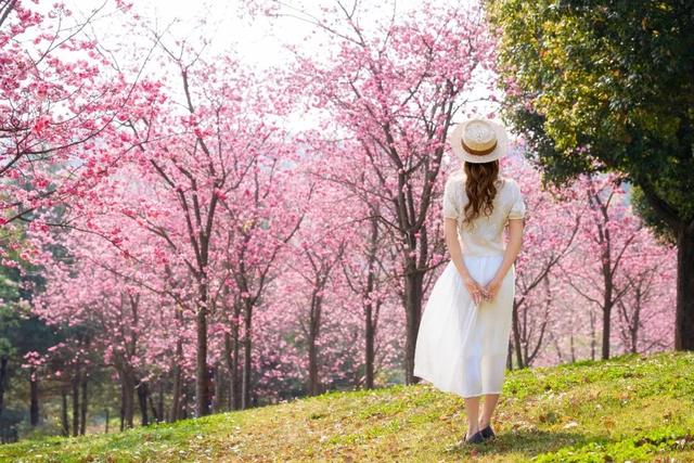 弥勒太平湖，免门票！
