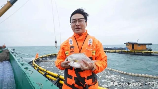 跨越山海，遇见防城港：一条边、一片海、一座城的共生之路