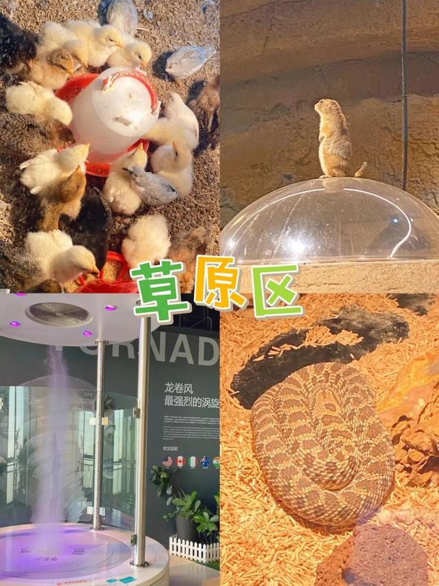 青岛市第一高楼的浪漫，坐拥城市至高视点……