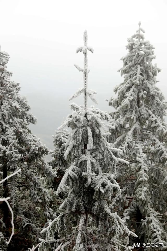 绝美！三江大塘坳惊现“琉璃仙境”！