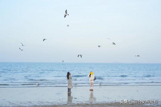 【乐游烟台】十二月好去处丨雪雪雪！烟台即将美成仙境