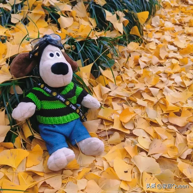 换季断舍离：秋天很短，别再买这6种裤子了，又丑又难穿！