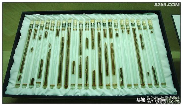 山东行游影记（53）—银雀山汉墓竹简博物馆（四）