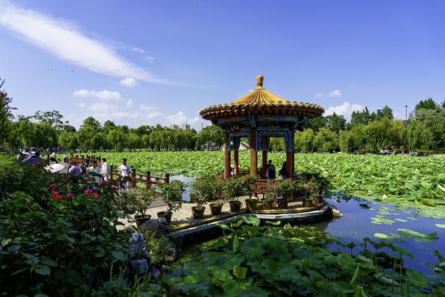 大量韩国游客涌入广州，打着旅游的幌子不去旅游不吃美食，为啥来