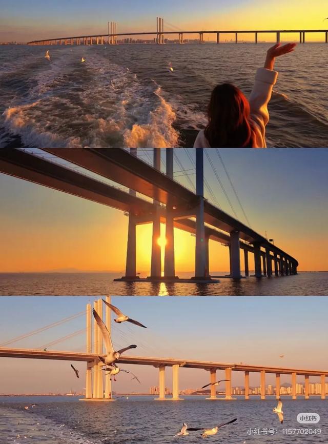 一座桥火了一片海：“意料之外，情理之中”