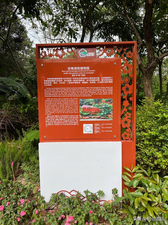 游流溪河森林公园