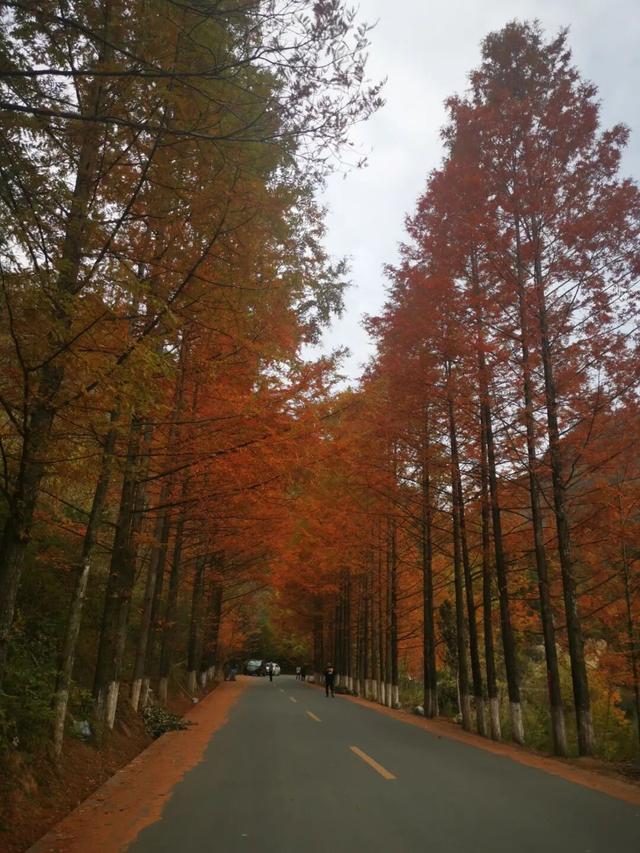 错峰隐居秦岭，开启初秋第一场旅行→