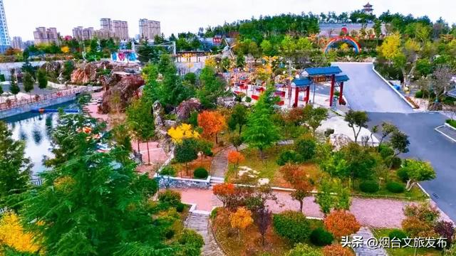 周末好去处丨人少免费!烟台小众公园美疯了