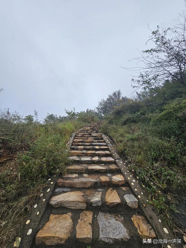 向往大山，向大山出发，天然氧吧，一路向上，无畏无惧，一起吧