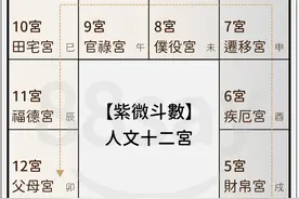 紫微斗数十二宫图片