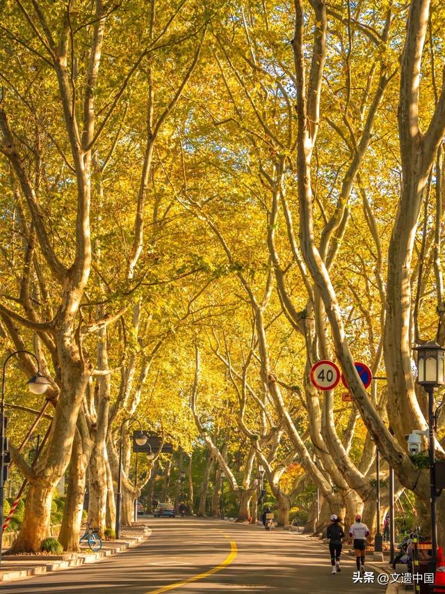 看一看，世界文化遗产委员会如何高度赞赏中国六大世界文化景观？