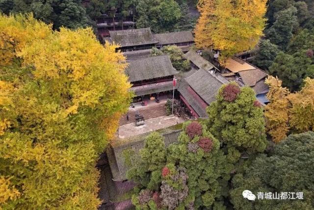 美疯！我就说初冬的都江堰有真东西！